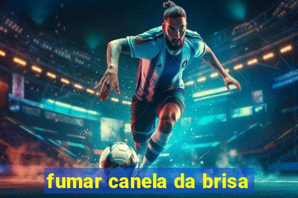 fumar canela da brisa